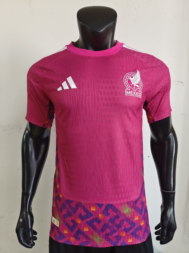 AAA Quality Mexico 2026 World Cup GK Pink Jersey(Player)